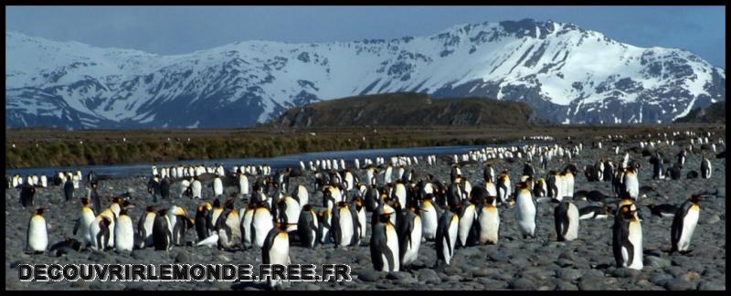Antarctique/images/1	