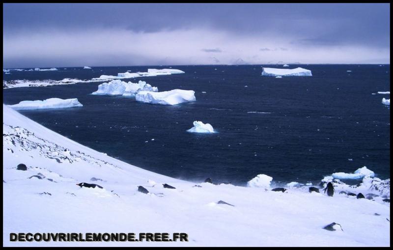 Antarctique/images/118	