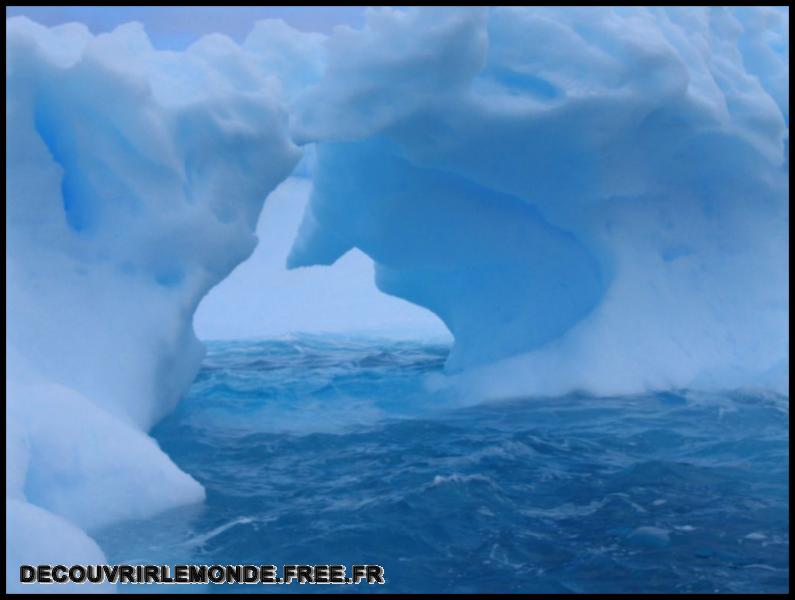Antarctique/images/45	