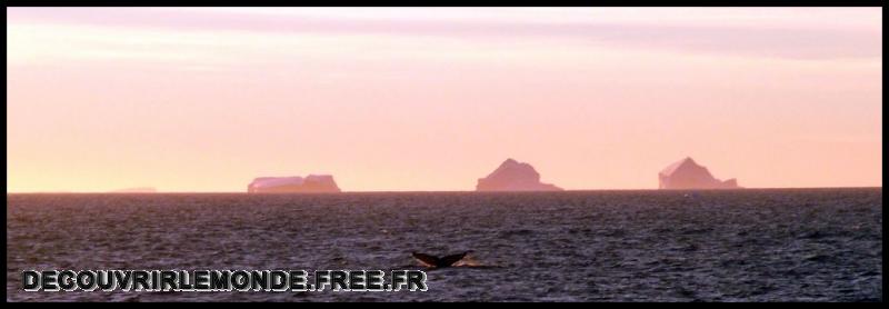 Antarctique/images/551	
