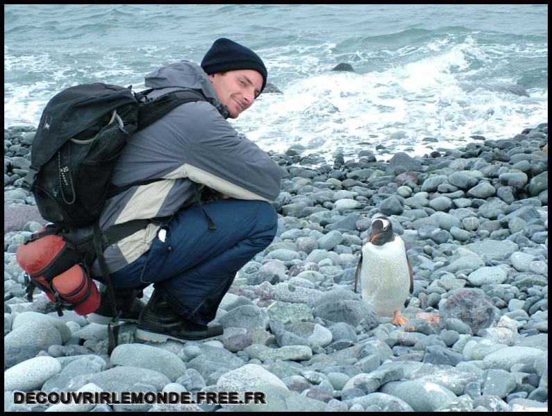 Antarctique Animaux/images/DSCF4439	