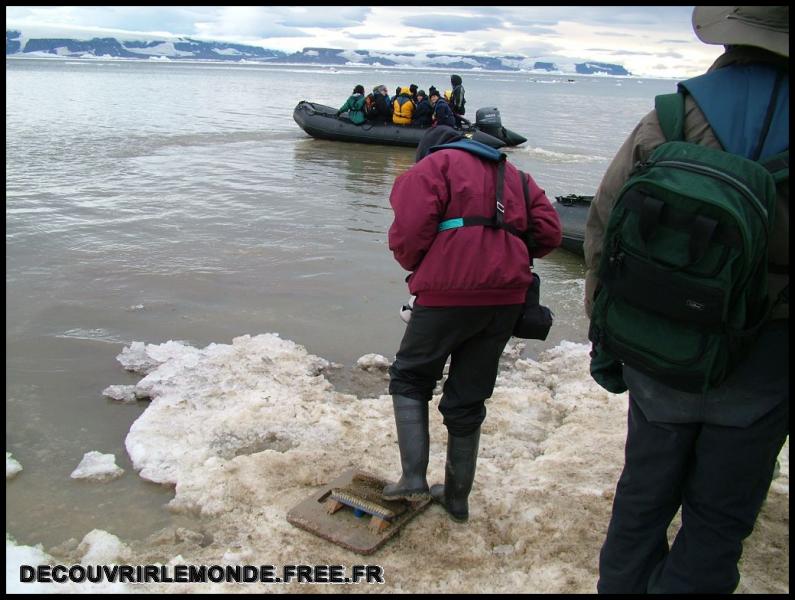 Antarctique Bateau Explorer/images/DSCF0058	