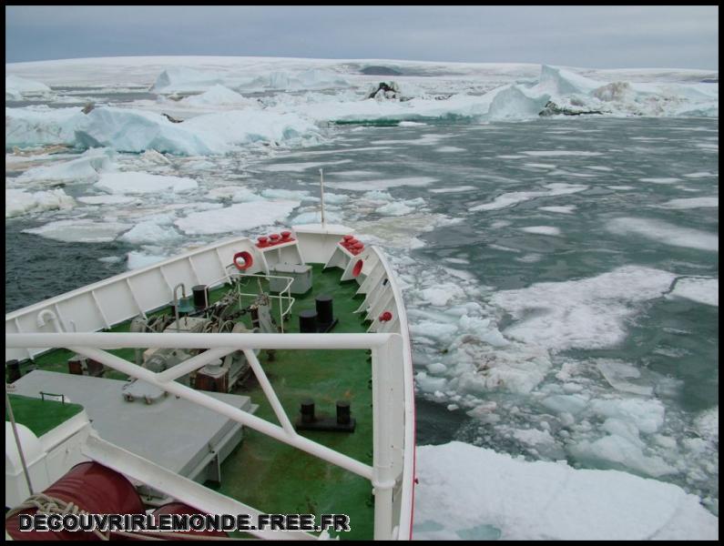 Antarctique Bateau Explorer/images/DSCF4115	