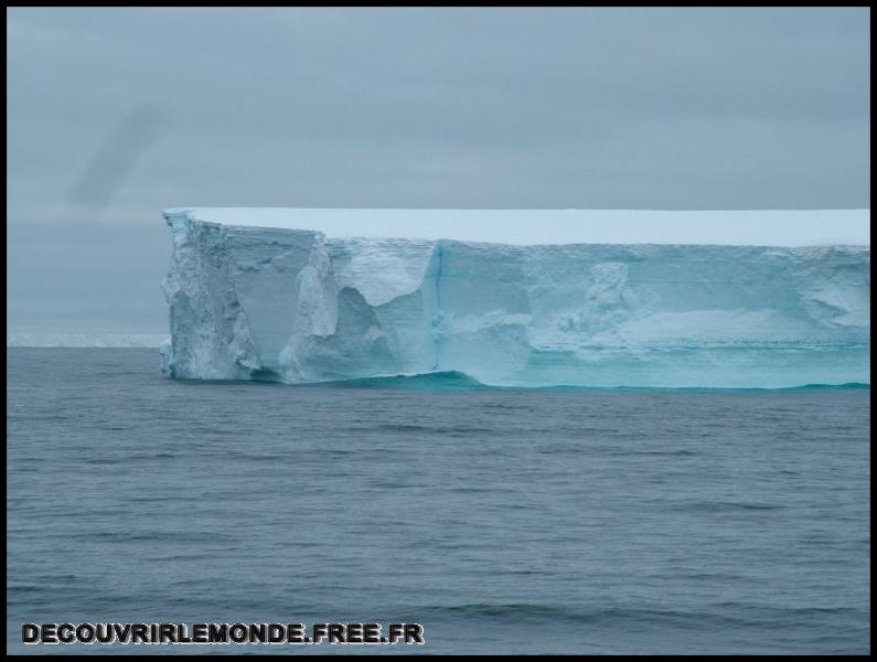 Antarctique Icebergs/images/DSCF3641	