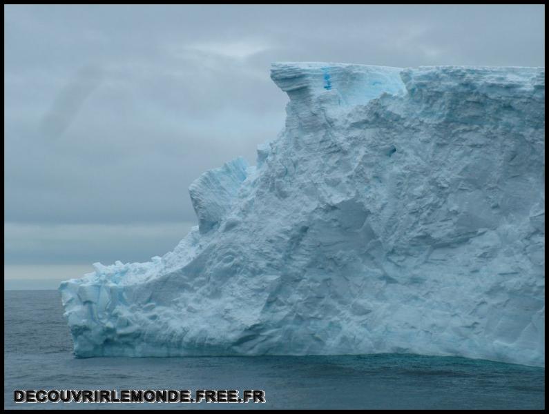 Antarctique Icebergs/images/DSCF3645	