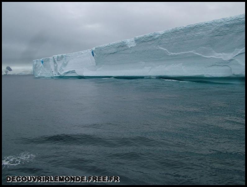 Antarctique Icebergs/images/DSCF3721	