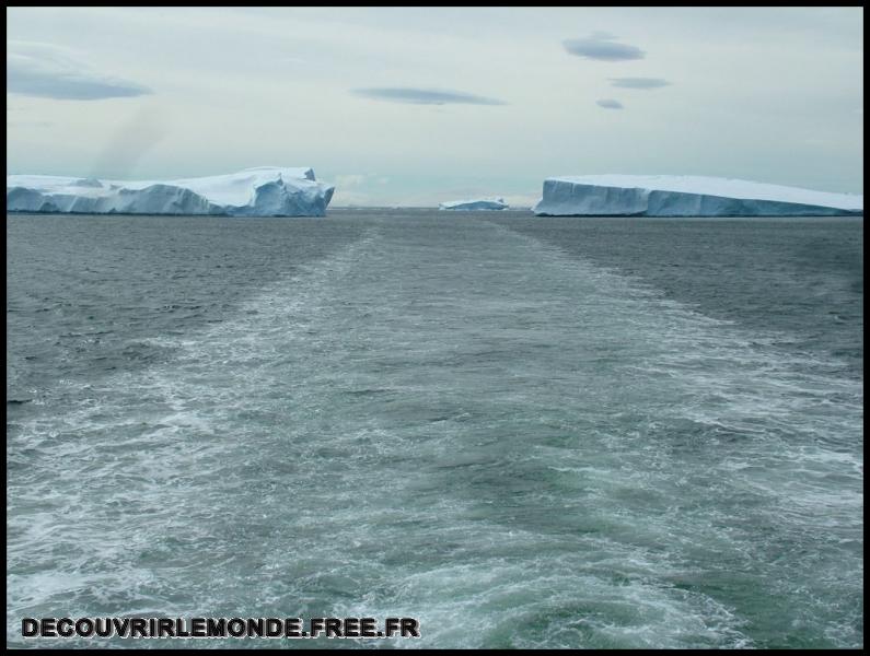 Antarctique Icebergs/images/DSCF4010	