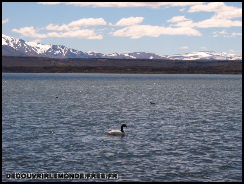 Argentine/images/03 Argentine Zappala Laguna Blanca S3700043	
