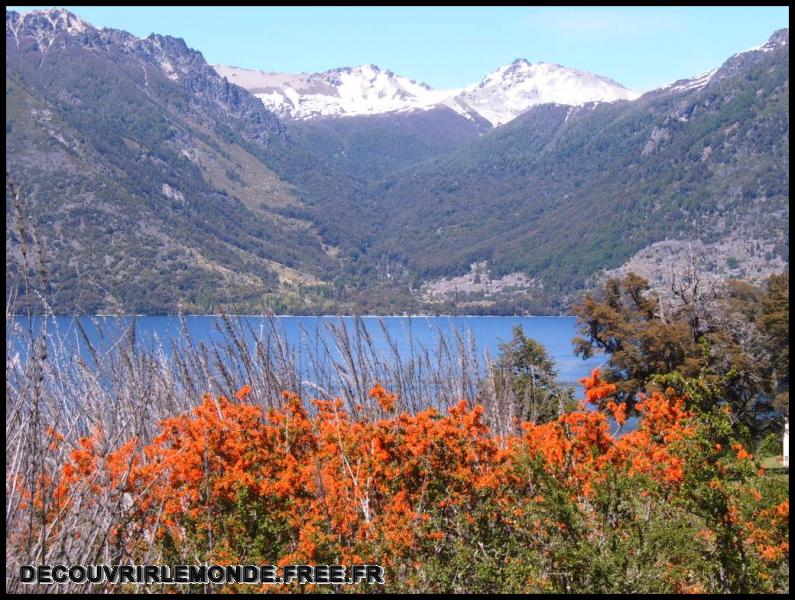 Argentine/images/05 Argentine San Martin NP Lanin S3700163	