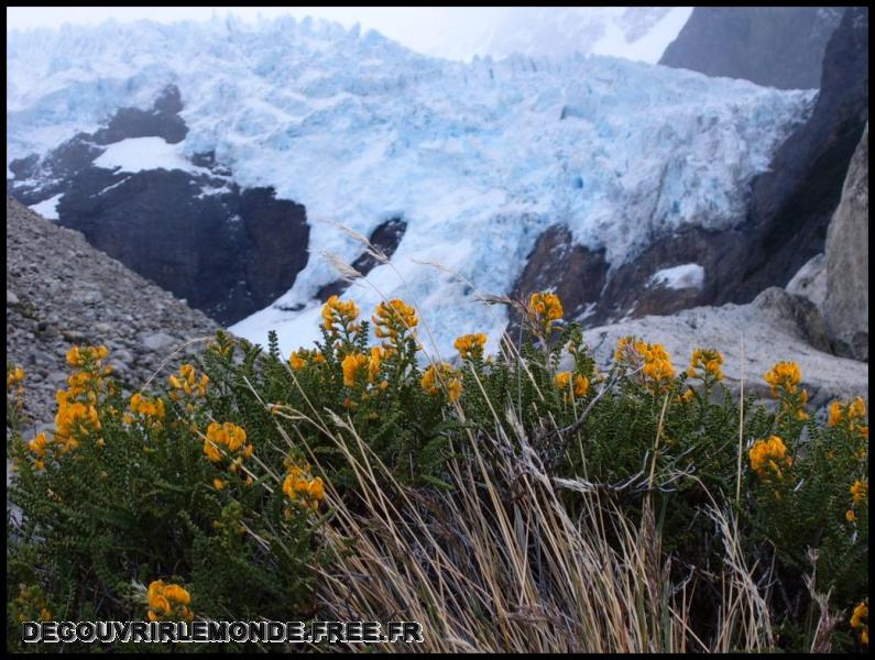 Argentine/images/21 Argentine NP Los Glacieres Fitz Roy Glacier Piedro Jour 2 S3700265	