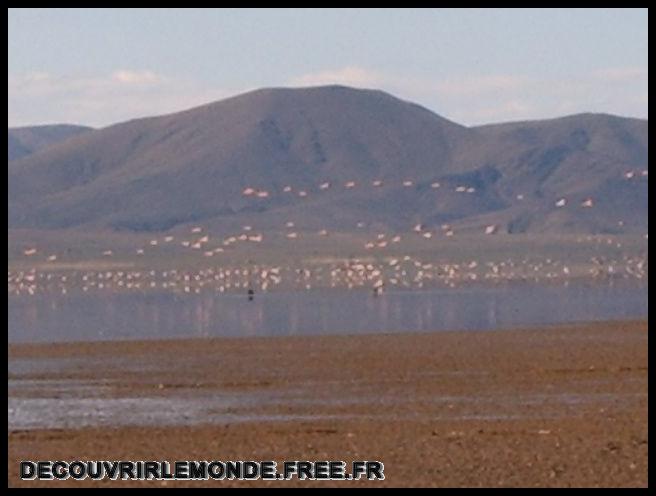 Argentine/images/39 Argentine Jujuy Vers Laguna Pozuelos S3700579	