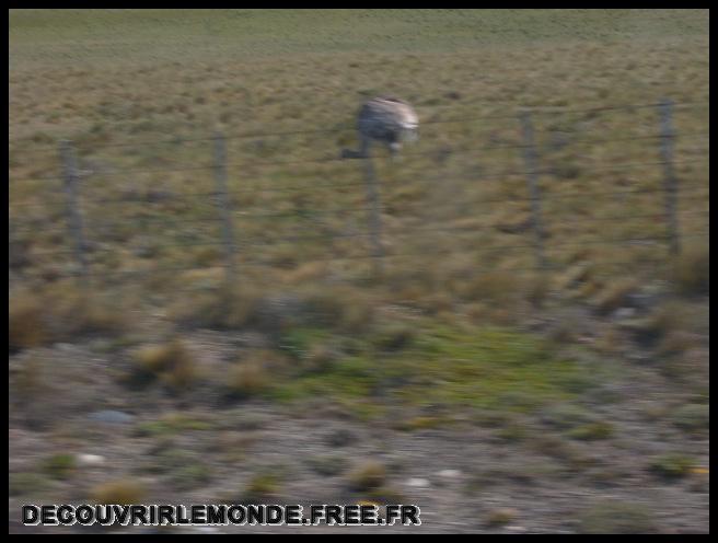 Argentine Arrivee Terre De Feu/images/S3700097	