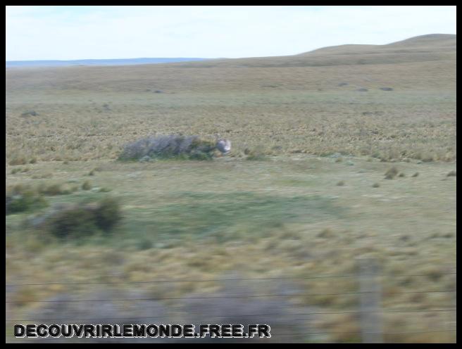 Argentine Arrivee Terre De Feu/images/S3700102	