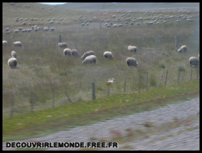 Argentine Arrivee Terre De Feu/images/S3700116	