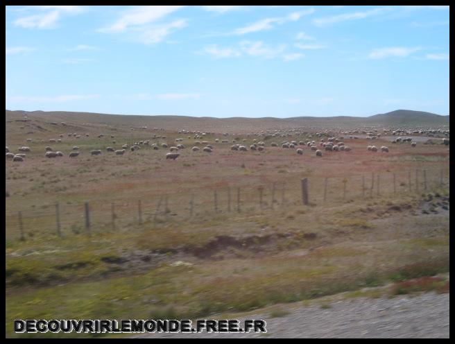 Argentine Arrivee Terre De Feu/images/S3700117	