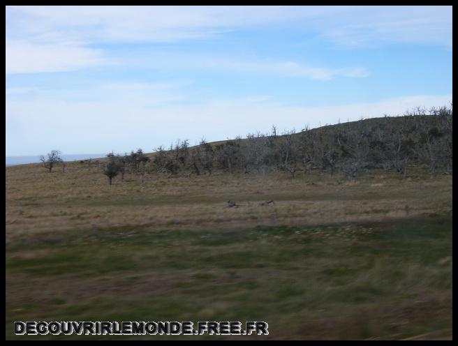 Argentine Arrivee Terre De Feu/images/S3700138	