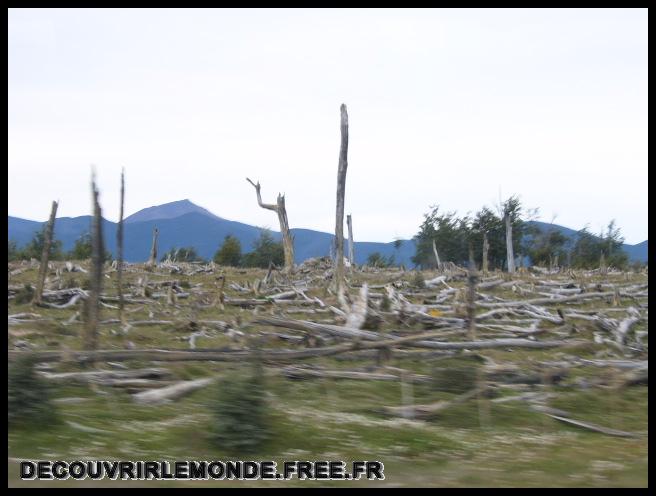 Argentine Arrivee Terre De Feu/images/S3700154	