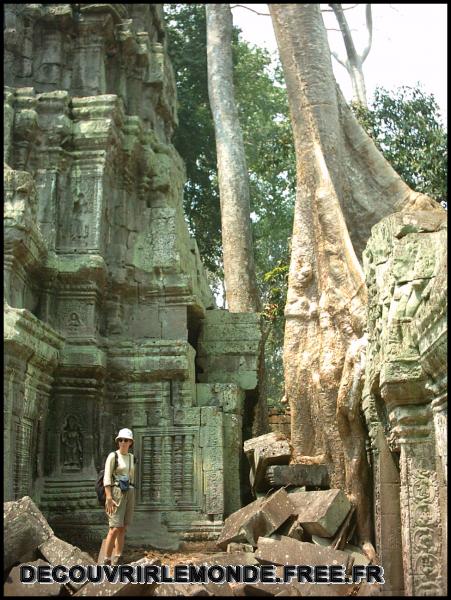 Cambodge Angkor/images/IMAG0844 Angkor Ta Prohm	