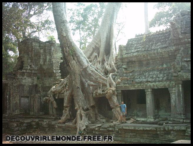 Cambodge Angkor/images/IMAG1011 Angkor PrahKahn arbre	