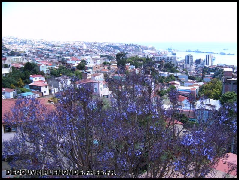 Chili/images/02 Chili Valparaiso Jour 2 s3700004	