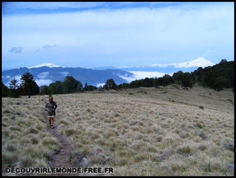 Chili/images/13 Chili NP Huerquehue Pucon S3701989	