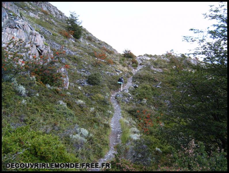 Chili/images/21 Chili Torres Del Paine Jour 2 S3700497	