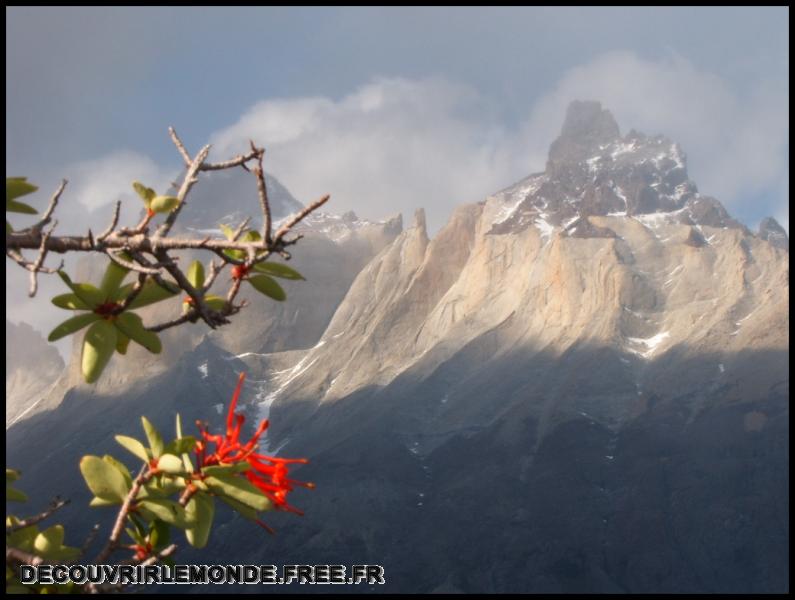Chili/images/21 Chili Torres Del Paine Jour 2 S3700532	