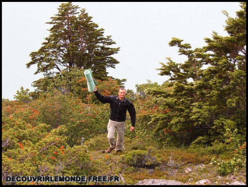 Chili/images/24 Chili Torres Del Paine Vers Chileno Jour 4 S3700241	