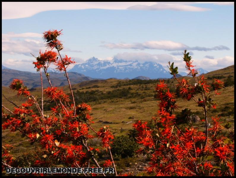 Chili/images/25 Chili Torres Del Paine Mirador Las Torres Jour 5 S3700347	