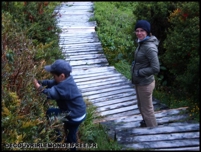 Chili Croisiere Fiords Chiliens/images/S3700321	