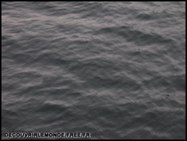 Chili Croisiere Fiords Chiliens/images/S3700350	