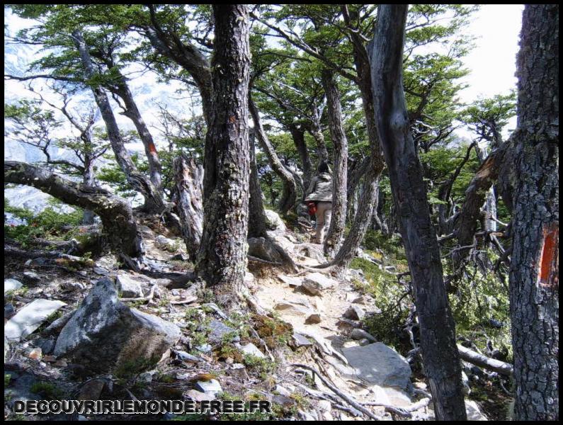 Chili Torres del Paine/images/22 Chili Torres Del Paine Vallee Francaise Jour 3 matin S3700560	