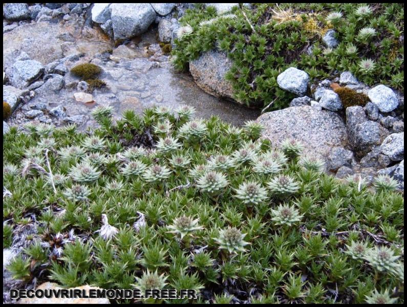 Chili Torres del Paine/images/23 Chili Torres Del Paine Vallee Francaise Jour 3 apres midi S3700212	