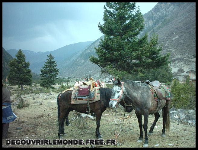 Chine/images/10 Chine Horse trekking Songpan IMAG2921	