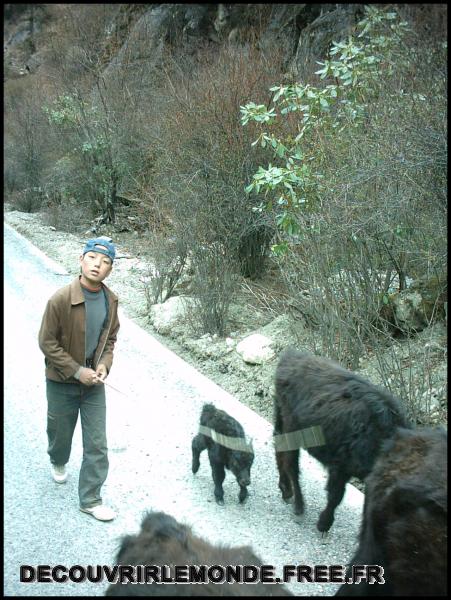 Chine/images/16 Chine Vers xiangcheng IMAG0221	