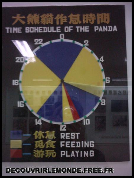 Chine Panda/images/IMAG0078	