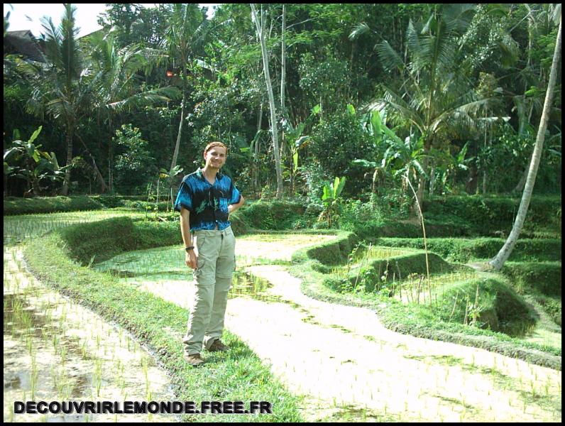 Indonesie/images/Indonesie Bali 2 01 Indonesie Bali Ubud Jour 1 gunung batur IMAG0745	