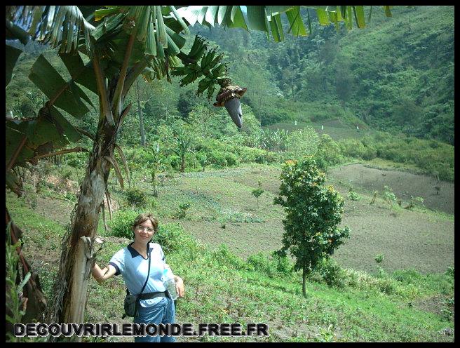 Indonesie/images/Indonesie Flores 04 Indonesie Flores descente kelimutu vers Maumere IMAG0046	