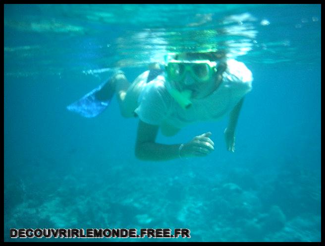Indonesie/images/Indonesie Gili Lombok 02 Indonesie Gili Snorkeling IMAG0285	