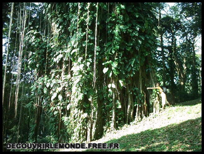 Indonesie/images/Indonesie Java 02 Indonesie Bogor IMAG0224	