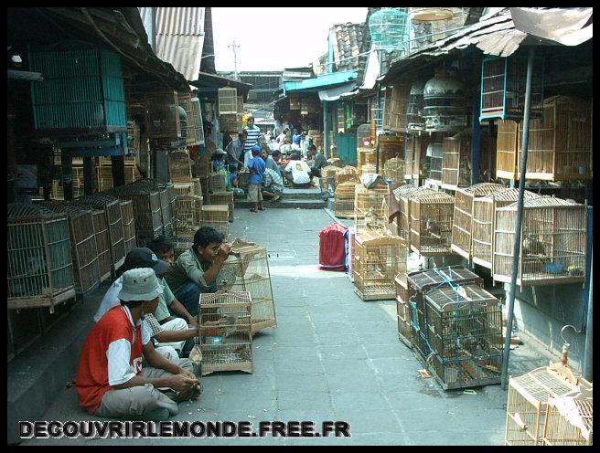 Indonesie/images/Indonesie Java 14 Indonesie Yogyakarta Ville IMAG0053	