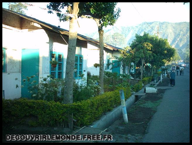 Indonesie/images/Indonesie Java 18 Indonesie Plantation Ijen IMAG0160	