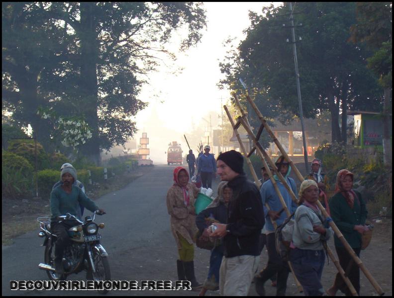 Indonesie/images/Indonesie Java 18 Indonesie Plantation Ijen indonesie ijen plantation 100 1645	