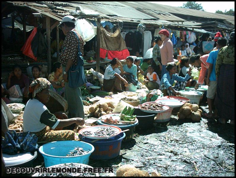 Indonesie/images/Indonesie Solor Alor Timor 01 Indonesie Solor Ardonara IMAG0102	