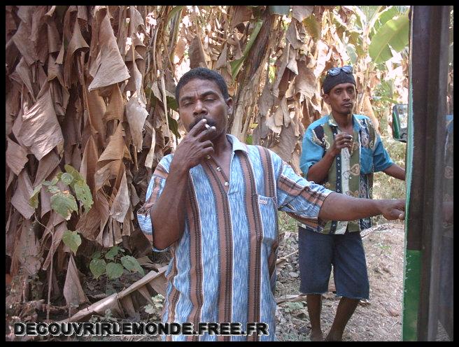 Indonesie/images/Indonesie Solor Alor Timor 03 Indonesie Solor Vers wairang IMAG0197	