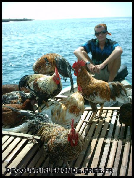 Indonesie/images/Indonesie Solor Alor Timor 04 Indonesie Solor Vers Alors kalabahi IMAG0277	