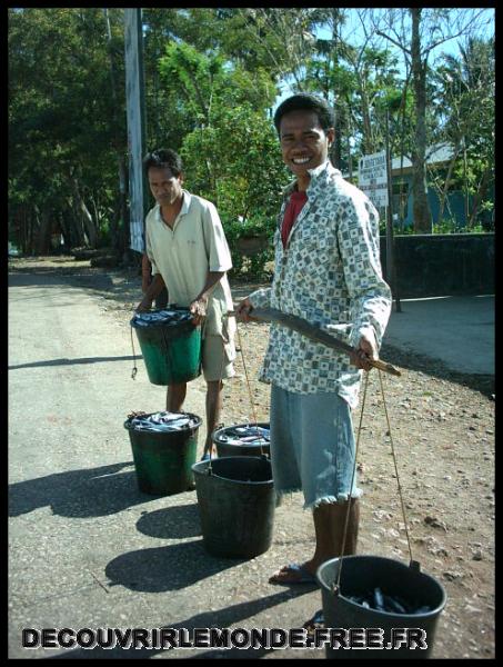 Indonesie/images/Indonesie Solor Alor Timor 09 Indonesie Timor Boti NikiNiki IMAG0565	