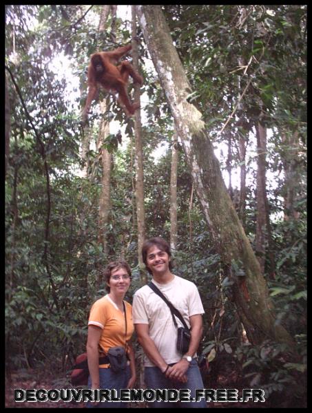 Indonesie/images/Indonesie Sumatra 02 Indonesia Bukit Lawang Trek IMAG0215	