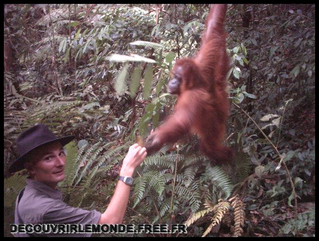 Indonesie/images/Indonesie Sumatra 02 Indonesia Bukit Lawang Trek IMAG0246	