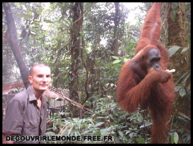 Indonesie/images/Indonesie Sumatra 02 Indonesia Bukit Lawang Trek IMAG0278	